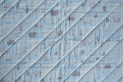 12-Couettes-Jura-janvier-2018-002