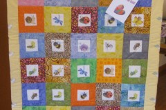 12-Morges-janvier-2026-009