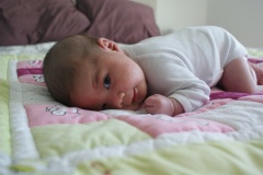SONY DSC
