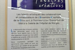 Fenetres-creatives-Hopital-de-Morges-juillet-2024-001