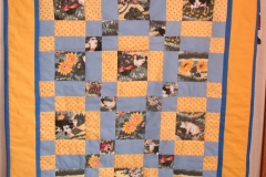 Couettes-2008-15